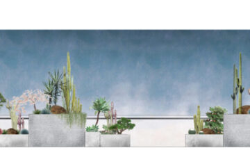 AcerLandscapes_Japanese_Garden_NorthMelbourneElevation1_Croped