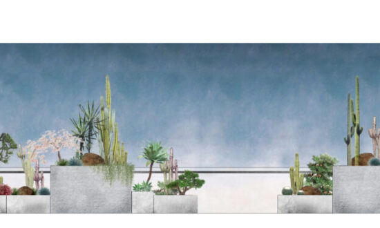 AcerLandscapes_Japanese_Garden_NorthMelbourneElevation1_Croped