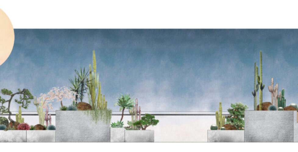 AcerLandscapes_Japanese_Garden_NorthMelbourneElevation1_Croped