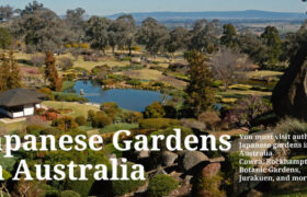 20210730Thumbnail_JapaneseGardensInAustralia3