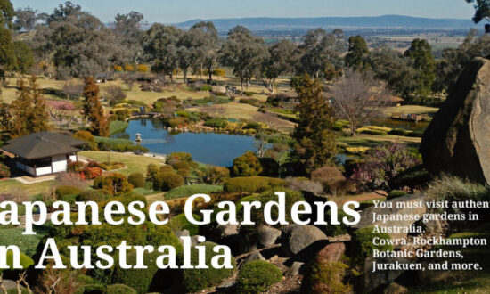 20210730Thumbnail_JapaneseGardensInAustralia3