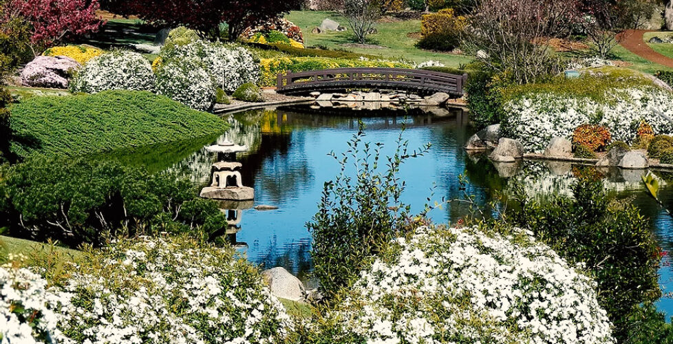 Cowra Japanese Garden