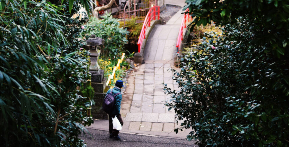 AcerLandscapes_Japanese_Garden_InokashiraPark