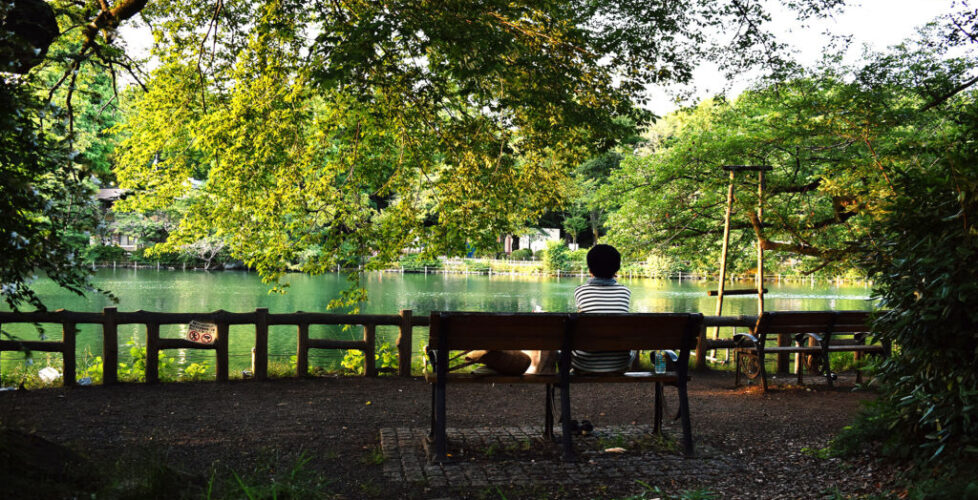 AcerLandscapes_Japanese_Garden_InokashiraPark10