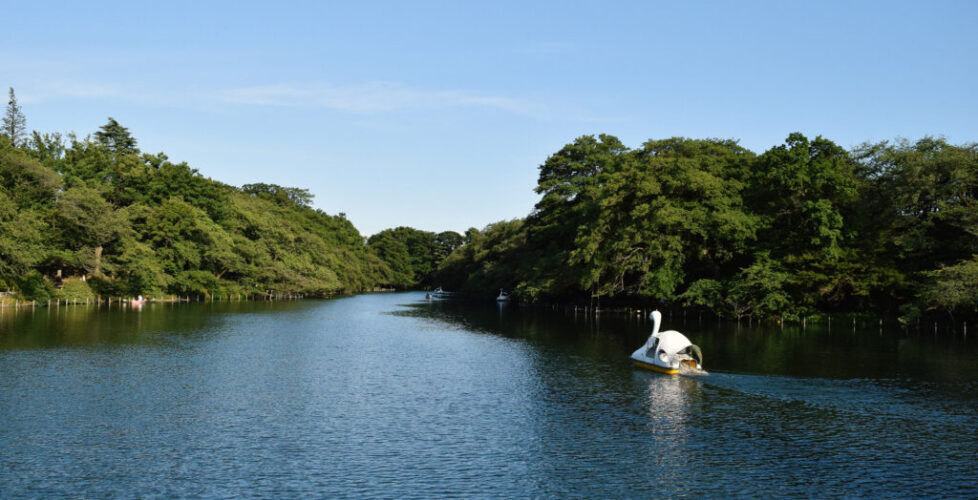 AcerLandscapes_Japanese_Garden_InokashiraPark7