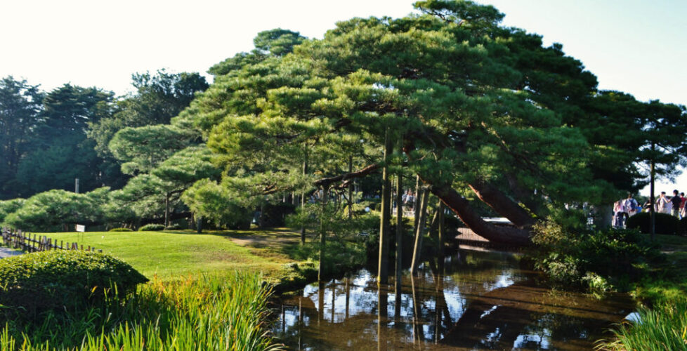 AcerLandscapes_Japanese_Garden_KenrokuEn5