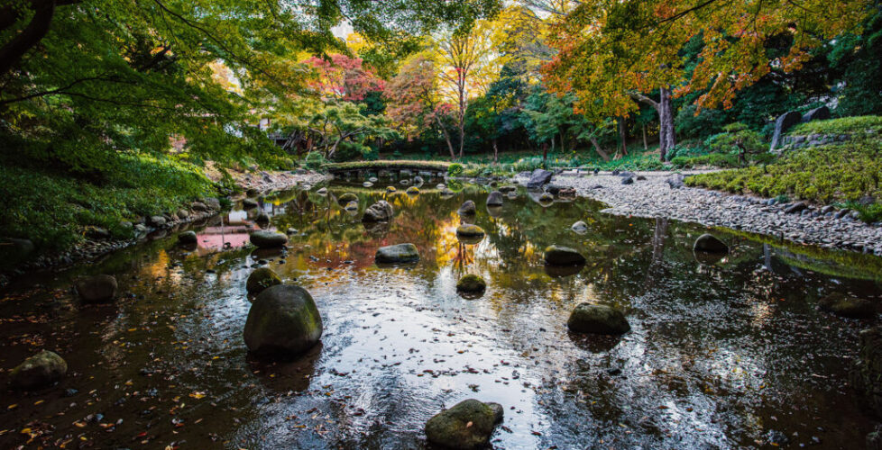 Koishikawa,Korakuen,Is,The,Finest,Traditional,Japanese,Landscape,Gardens,In