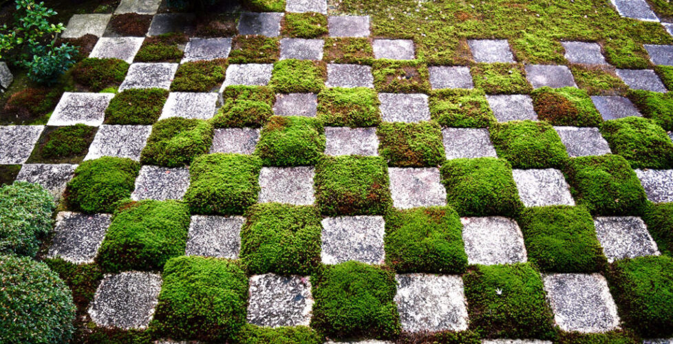 AcerLandscapes_Japanese_Garden_KufukuJi6