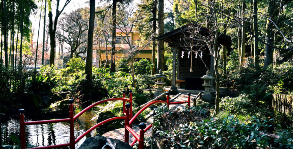 AcerLandscapes_Japanese_Garden_KunitachiYusui