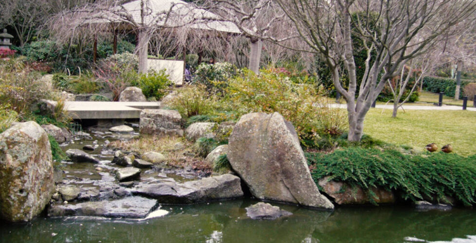 Japanese Garden in Melbourne Zoo