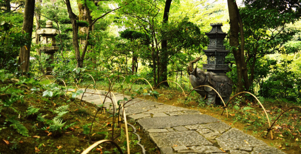 AcerLandscapes_Japanese_Garden_NezuArtMuseum6