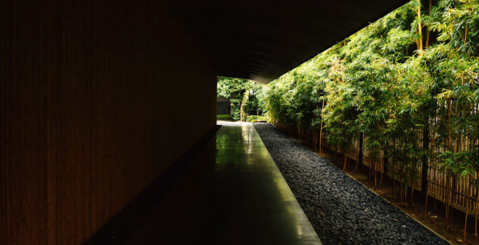 AcerLandscapes_Japanese_Garden_NezuArtMuseum8