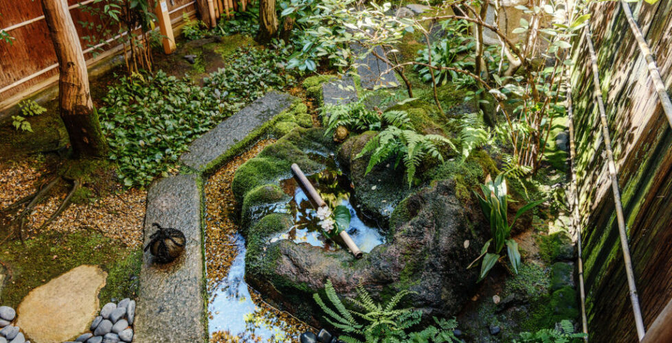 AcerLandscapes_Japanese_Garden_Roji2