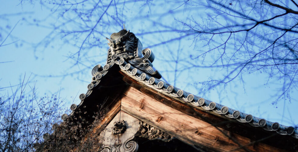 AcerLandscapes_Japanese_Garden_RyoanJi