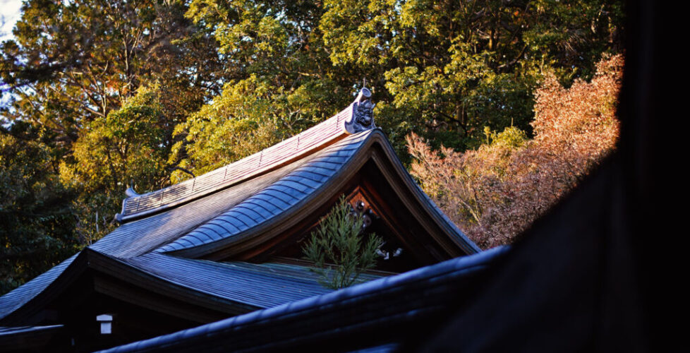 AcerLandscapes_Japanese_Garden_RyoanJi3