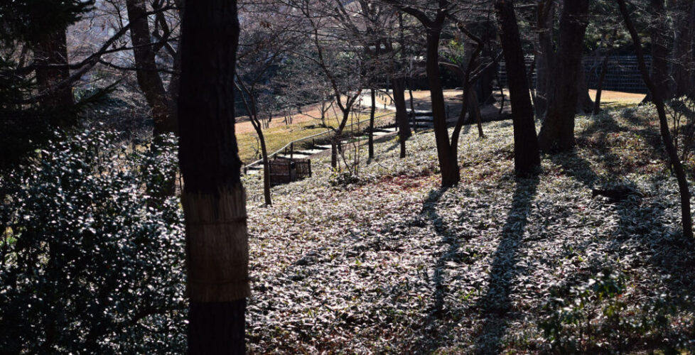 AcerLandscapes_Japanese_Garden_TonogayatoTeien