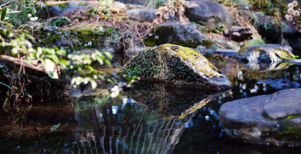 AcerLandscapes_Japanese_Garden_TonogayatoTeien2