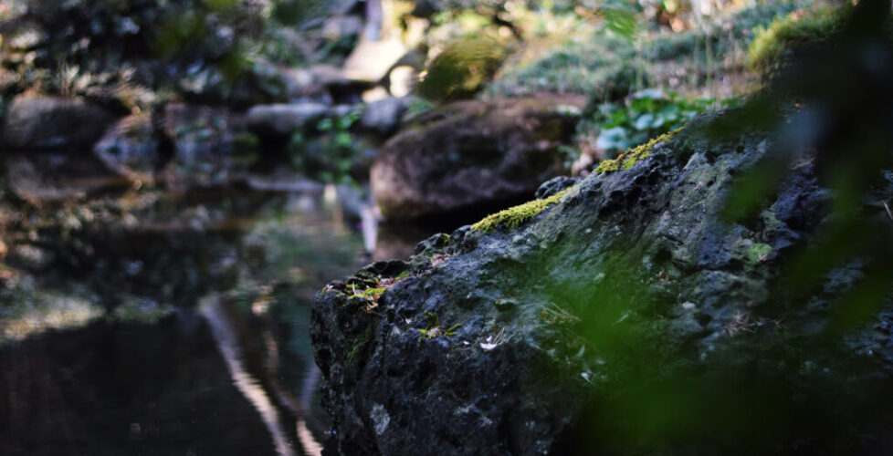 AcerLandscapes_Japanese_Garden_TonogayatoTeien3