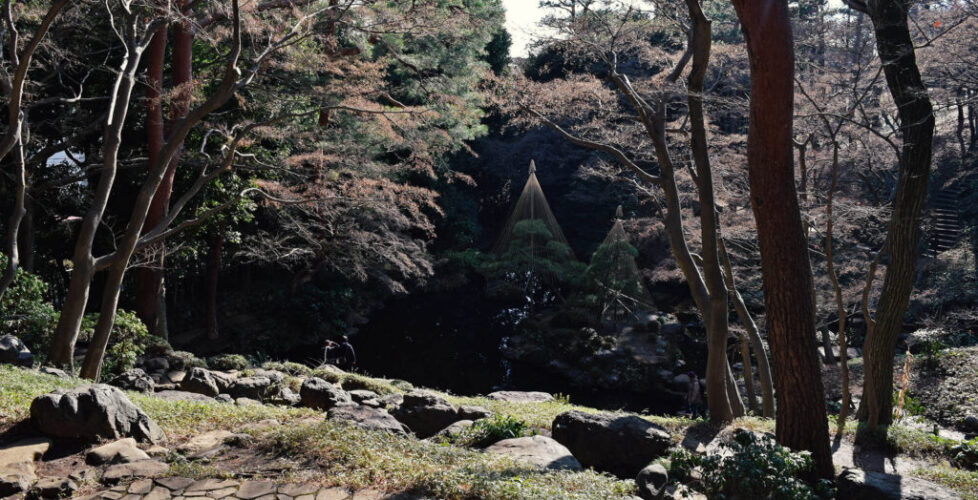 AcerLandscapes_Japanese_Garden_TonogayatoTeien4