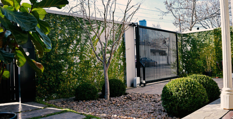 AcerLandscapes_Japanese_Garden_Toorak13light