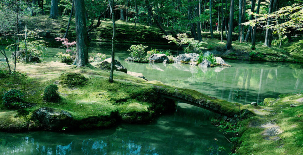 AcerLandscapes_Japanese_SaihoJi